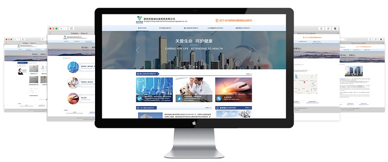 金百瑞科技成功升级国药控股集团官网